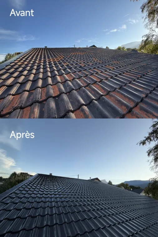 Rénovation de toiture avec un produit hydrofuge , Chambéry, Mantellet Fils & A